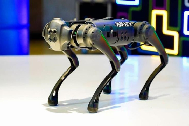 Собака-робот Коди из Новосибирска станцует на выставке «Россия»