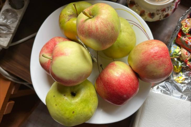 Яблочные косточки запретила есть жителям Новосибирска эксперт Титова
