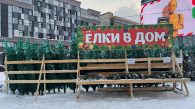 Новосибирцы не спешат покупать ёлки на базарах перед Новым годом