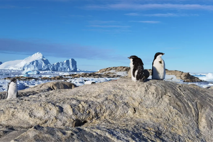 В бухте Тала - важном логистическом центре Антарктиды - появилась связь