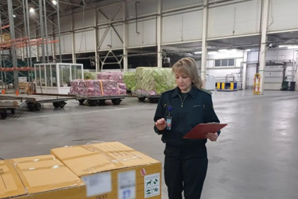 Тайских морских лисичек и золотых рыбок два часа выгружали в Новосибирске