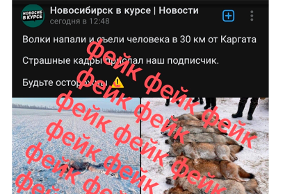 Минприроды назвало фейком новость о нападении волков под Новосибирском