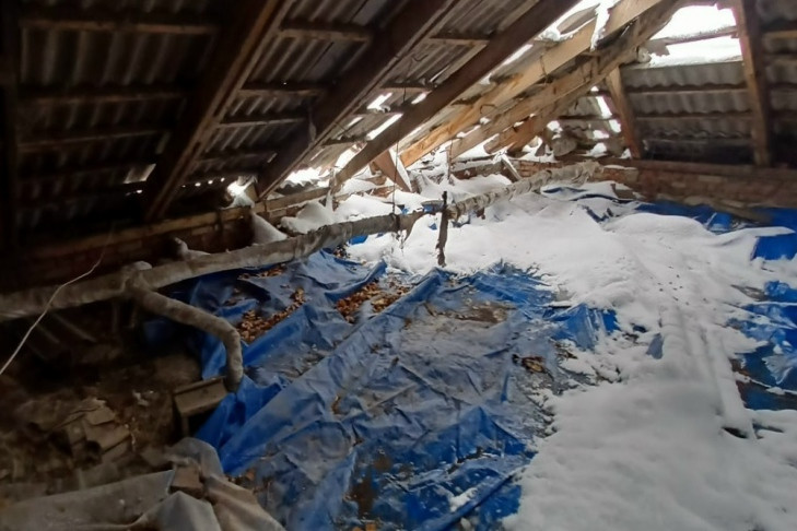 Прокуратура распорядилась вернуть крышу жителям улицы Шукшина в Новосибирске