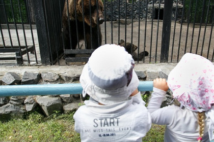 Три тысячи посетителей в масках за день будут пускать в Новосибирский зоопарк