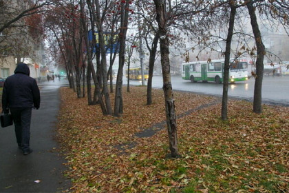 Новое сильное похолодание: погода 21-27 сентября в Новосибирске