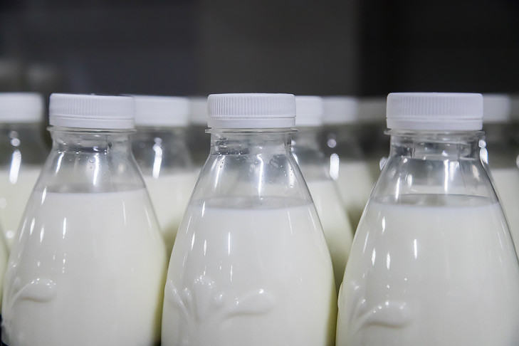 Почти 2 тонны молочных продуктов утилизировали в Новосибирске с начала 2025 года