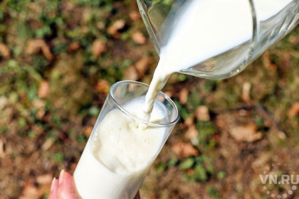 Молоко исчезло из магазинов в Коченево