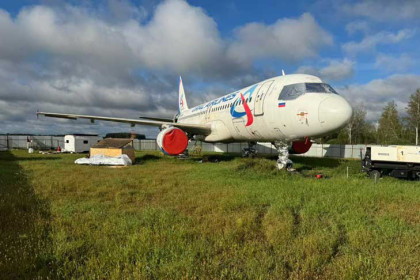 Посадивший в поле самолет пилот попросил о переносе суда из Новосибирска