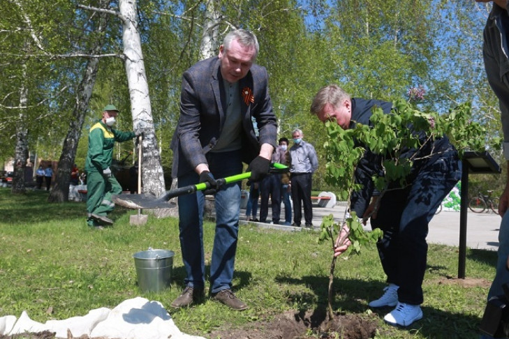 Губернатор Травников посадил сирень в ходе акции «Сад памяти»