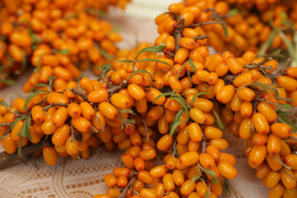 Продукты для усиления иммунной защиты назвали специалисты Роспотребнадзора