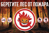 Беречь легкие планеты от огня призвали жителей Новосибирской области