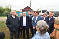 Поголовье скота в Новосибирской области восстанавливают: итоги и планы