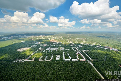Мифы Академгородка: лес при строительстве не вырубали