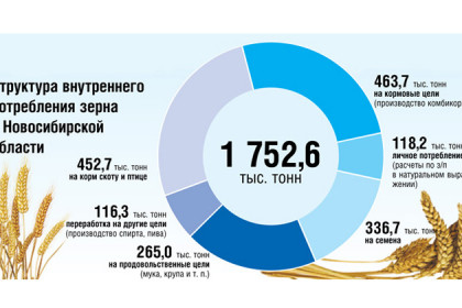 300 тысяч тонн зерна вывезут за пределы Новосибирской области