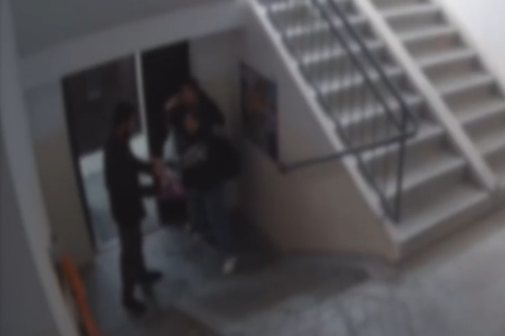 Делу о нападении курьера на женщин в Бердске дал ход глава СКР Бастрыкин