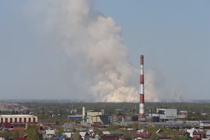 Садовое общество «Геофизик» под Новосибирском спасли от ландшафтного пожара