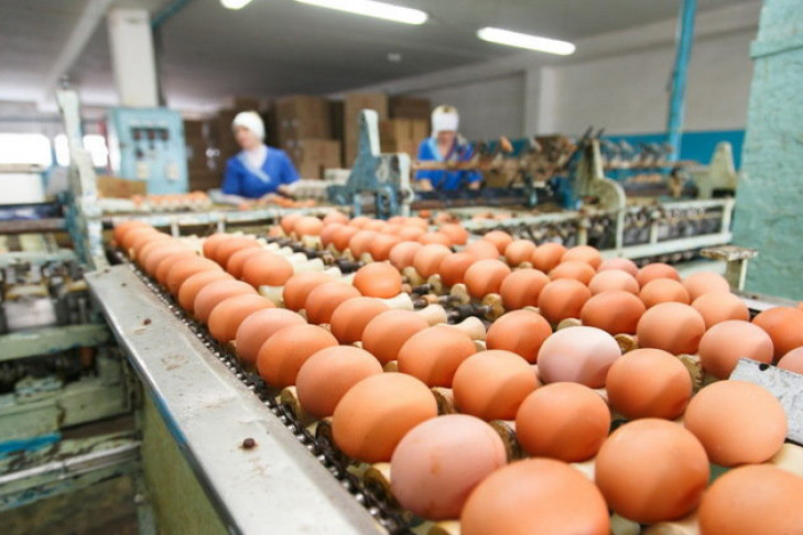 Три миллиона яиц отправил за границу Новосибирск