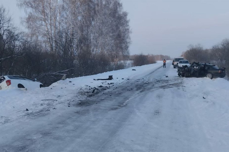 Погибла женщина и пострадал ребенок в ДТП на трассе под Новосибирском