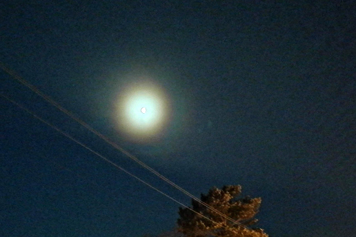 Большая удача: лунное гало показалось в небе над Новосибирской областью