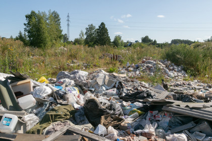 Эколог Багрянцев: Бердску нужен мусороперерабатывающий завод, а не свалка