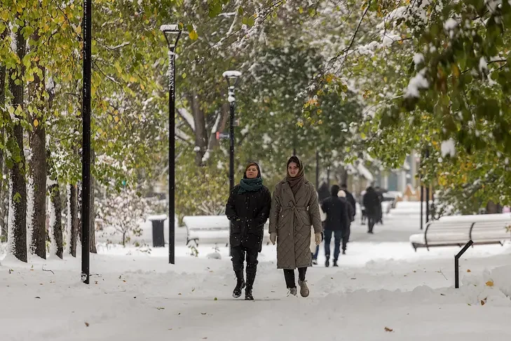 Названа дата исчезновения временного снежного покрова в Новосибирске