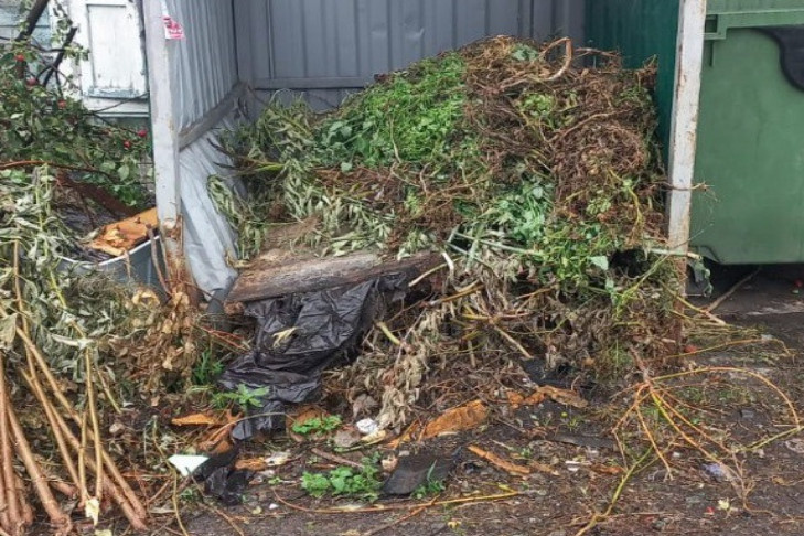 Регоператор запретил выбрасывать ботву на мусорные площадки Новосибирска