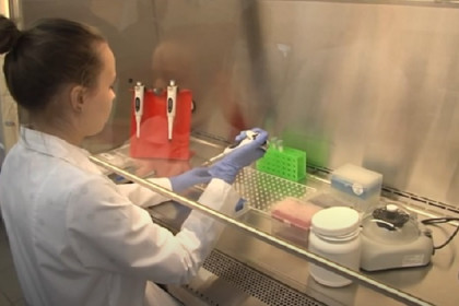 Новосибирская вакцина «ЭпиВакКорона» проходит финальные испытания