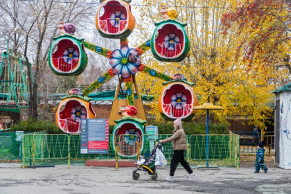 Выплату 94,4 тыс получили 130 беременных и родивших студенток в Новосибирске