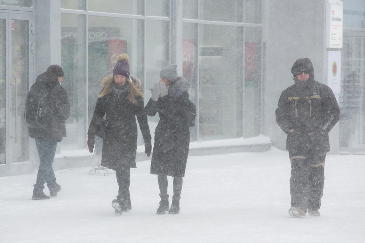 Один человек потерялся в снежной буре в Новосибирской области