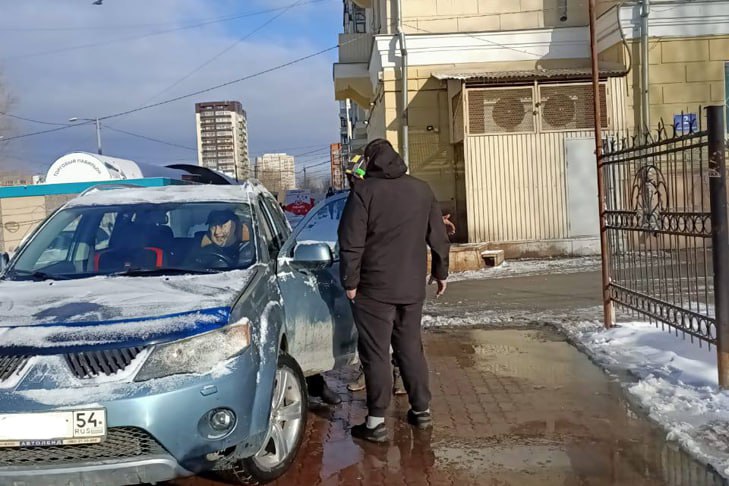 Пожилую сотрудницу Горзеленхоза избил автохам в Новосибирске