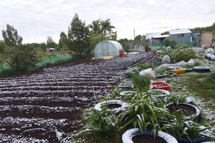 Грядки превратились в сугробы: пригород Новосибирска посетила зима