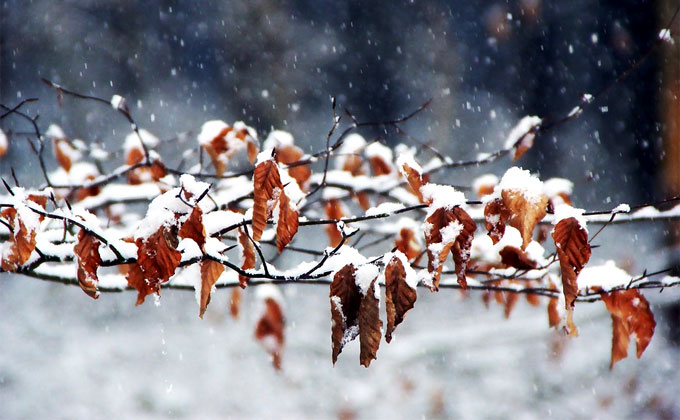 Погода 19-20 октября в Новосибирске: снежные выходные
