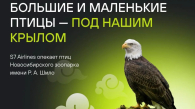 Авиакомпания S7 взяла под опеку птиц новосибирского зоопарка