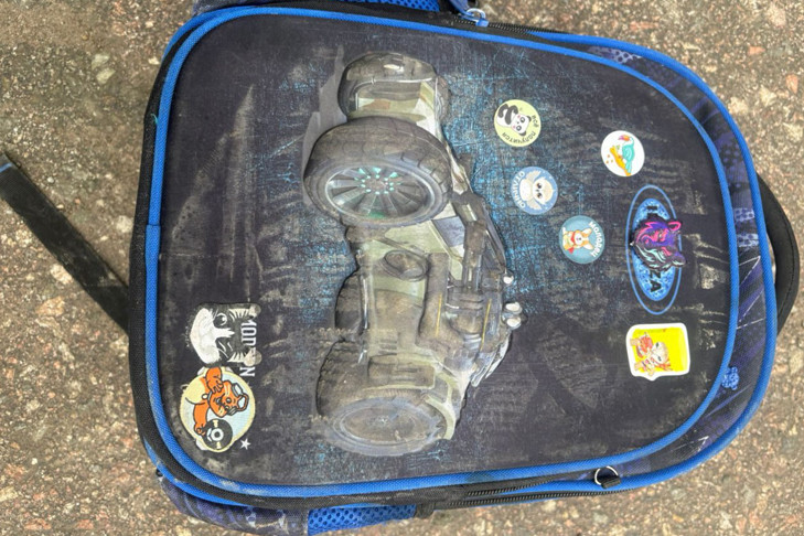 В Бердске семья требует 40 миллионов с виновника гибели их ребенка в ДТП