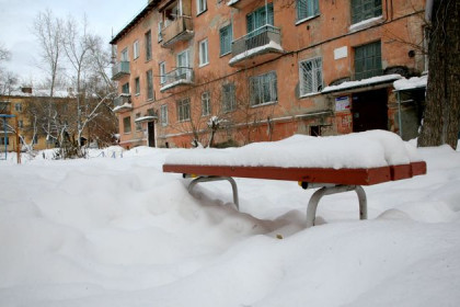 750 деревьев упали в Новосибирске под тяжестью мокрого снега