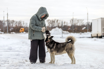 Метели и морозы захватят Новосибирскую область 22-23 ноября