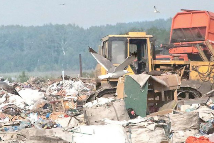 Перенести мусорный полигон подальше от Бердска попросили губернатора