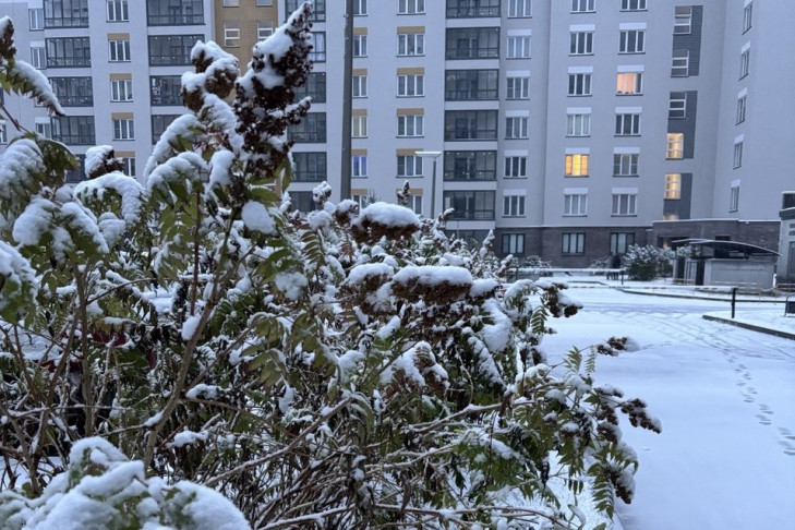 Снежным покровом укрыло Новосибирск утром 4 октября