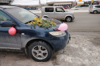 У жительниц Новосибирска падает интерес к цветам и растет к карьере