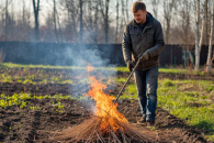 О правилах сжигания травы напомнили спасатели жителям Новосибирской области
