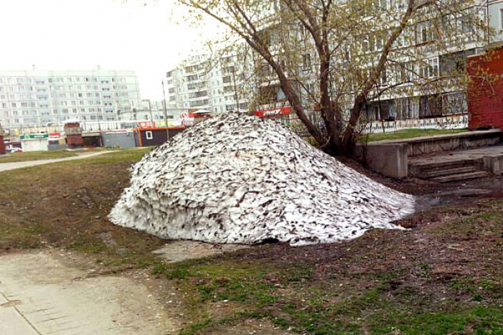 Погода 25-26 апреля в Новосибирске: похолодание до +10°С и ниже