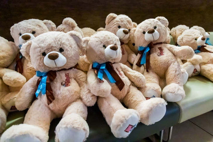 Замораживать детские игрушки для борьбы с клещами призвали жителей Новосибирска