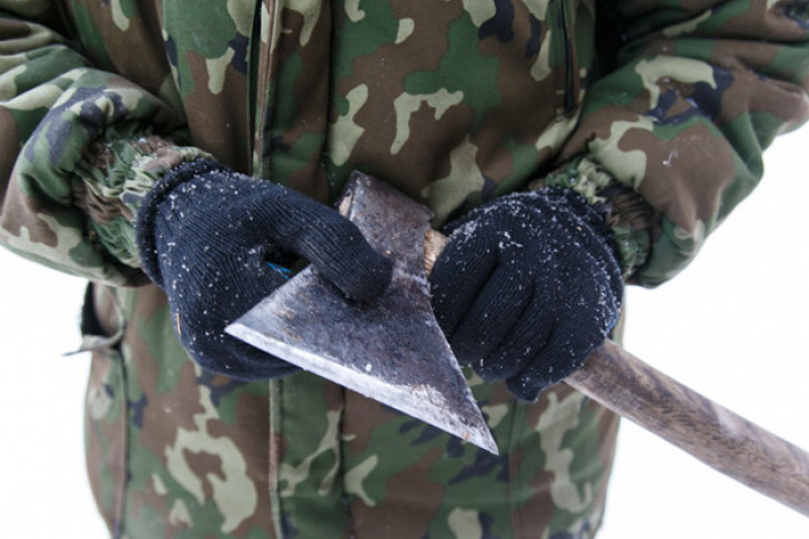 Пособников «черных лесорубов» готовы штрафовать на 50 тысяч рублей