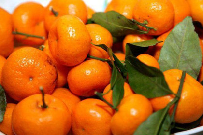 Первые 17 тонн мандаринов поступили в Новосибирск из Китая 