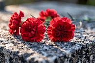 Известную зоозащитницу похоронили в Омске