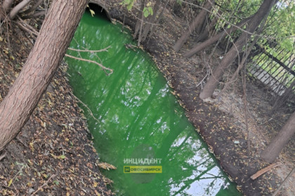 В Новосибирске вода в реке Тула позеленела из-за испытаний