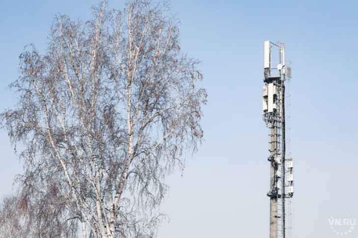 Tele2 обеспечила связью и 4G-интернетом жителей 43 сел и деревень Новосибирской области