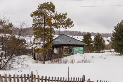 Пострадавшие от пастереллёза семьи получили уже 57 млн в Новосибирской области