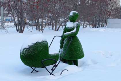 МЧС: крещенские морозы до -40 градусов продлятся в Новосибирской области до 20 января