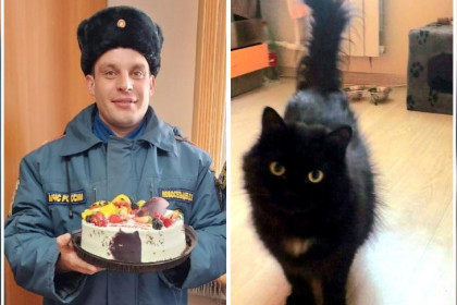 Наградить пожарного за спасение кошки Буськи просят две сестры из Новосибирска